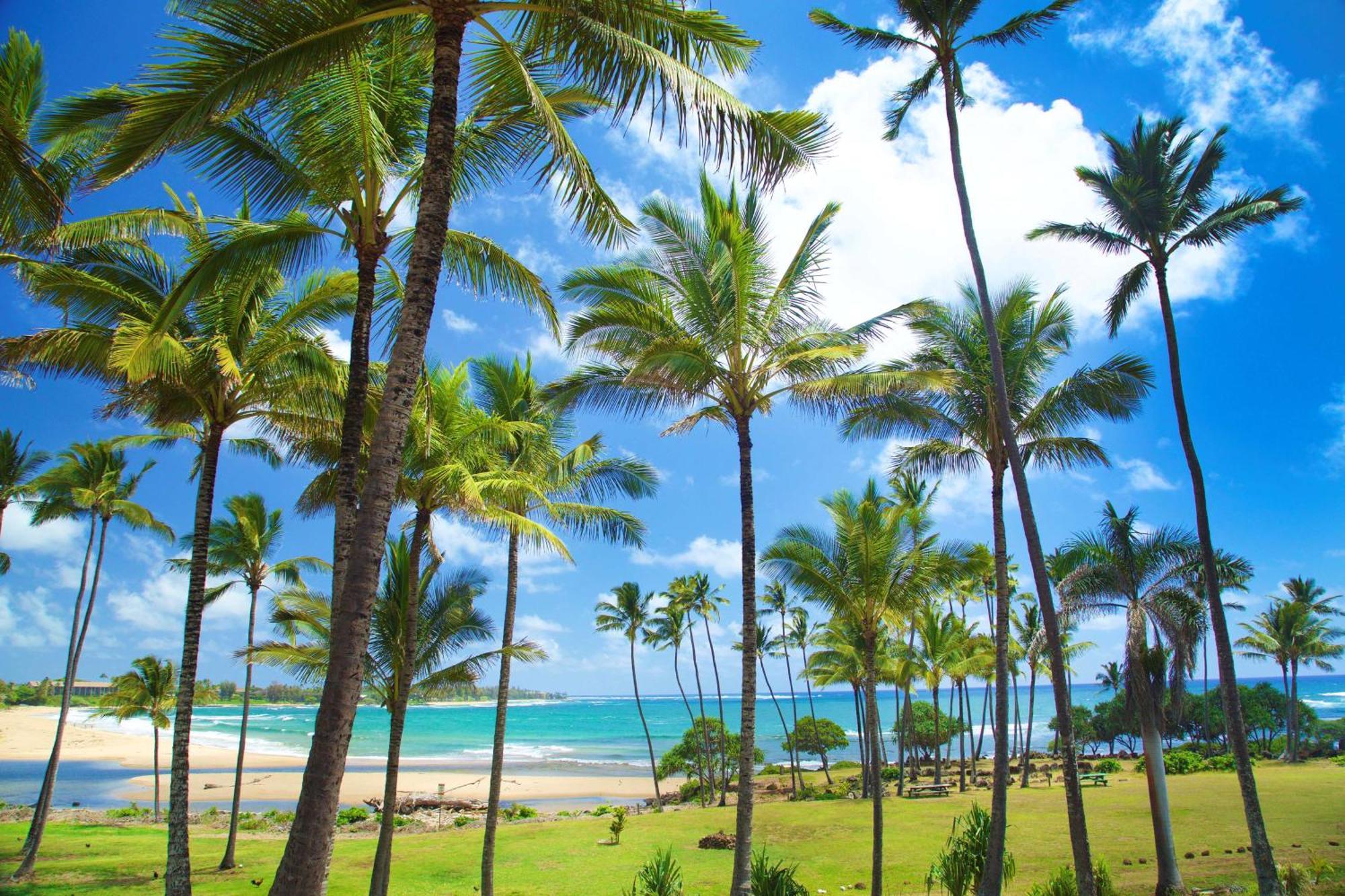 Hilton Garden Inn Kauai Wailua Bay, HI Kapa'a Bagian luar foto
